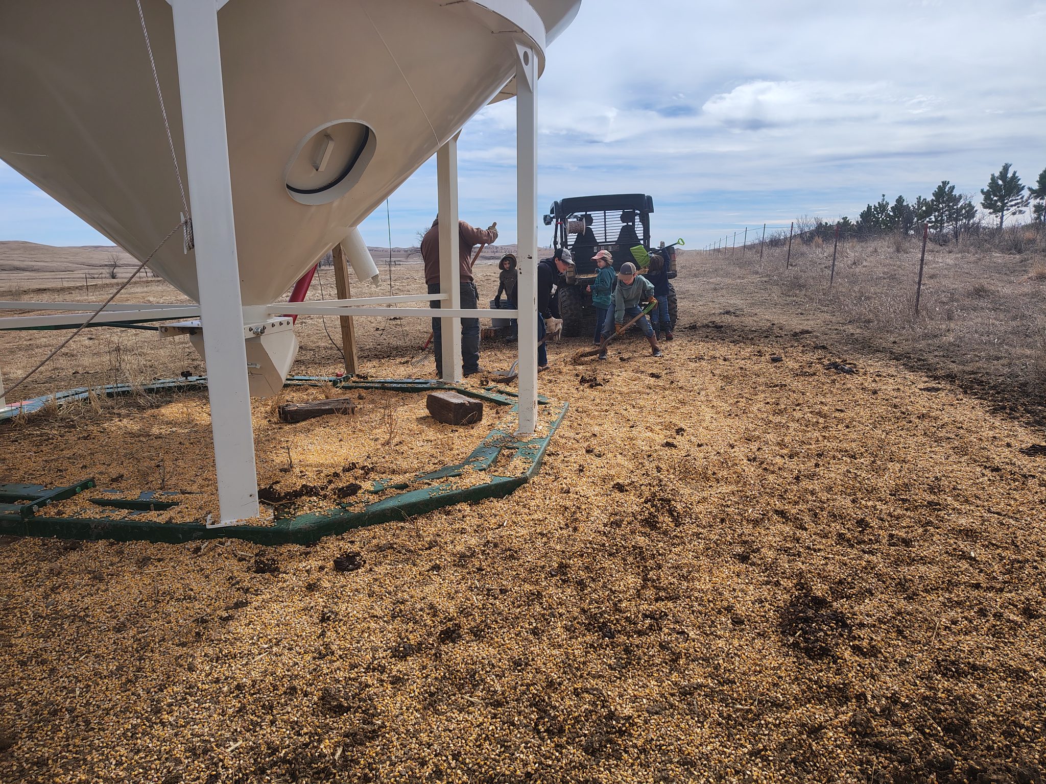 Clean-Up – Jacobson Farm